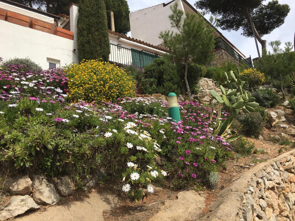 Apartamento Islas Medas Wifi Y Parking Gratis L'Estartit Eksteriør billede